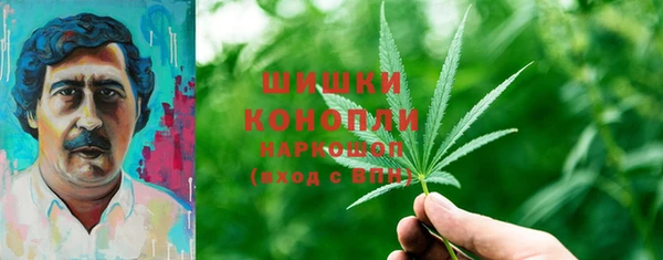apvp Костерёво